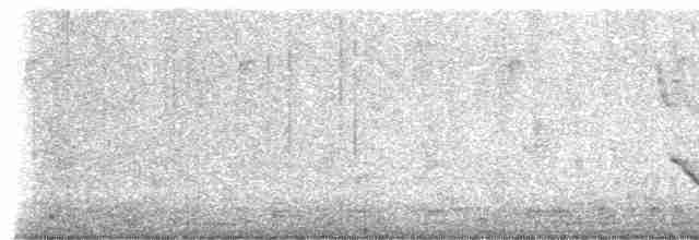 Длинноклювый пересмешник - ML619531962