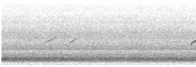 Набережник плямистий - ML619531997