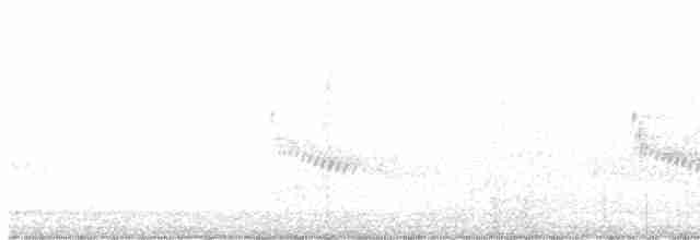 Скрытная червеедка - ML619532197