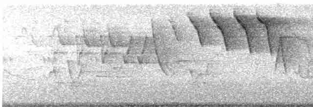 Горихвостковая древесница - ML619532222