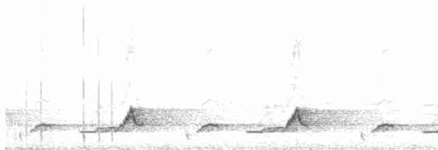 Schwarzkehl-Nachtschwalbe - ML619532435