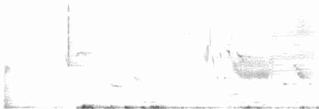 Багновець приморський - ML619532453