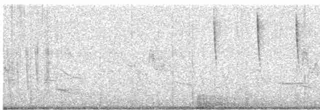 rorýs srpokřídlý - ML619532459