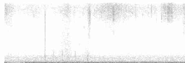 tyranovec vrbový - ML619532461