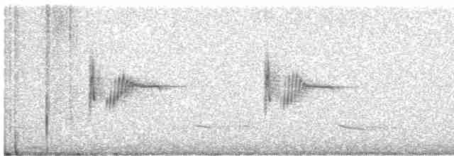Kaya Çıtkuşu - ML619532469