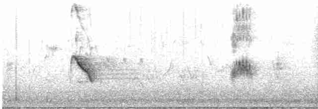gulbrynkjernebiter - ML619532513