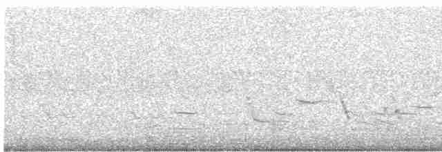 Oriole de Bullock - ML619532681
