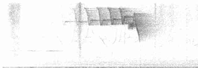 Горихвостковая древесница - ML619532920