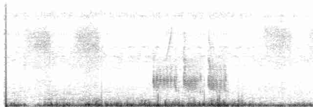 Weißwangen-Dickichtschlüpfer - ML619533037