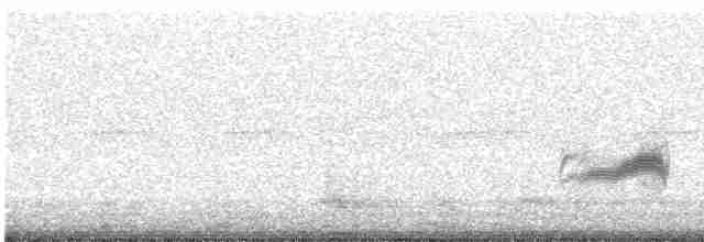 Бурый соловьиный дрозд - ML619533158