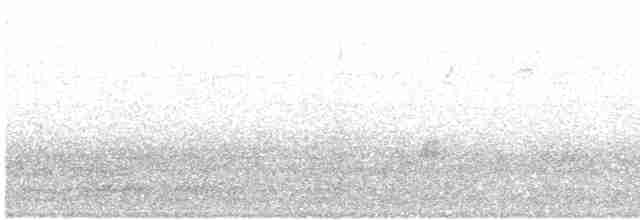 Kara Kanatlı Piranga - ML619533381