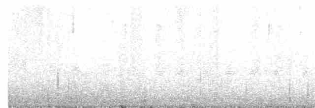 טואי אדום-עין - ML619533447