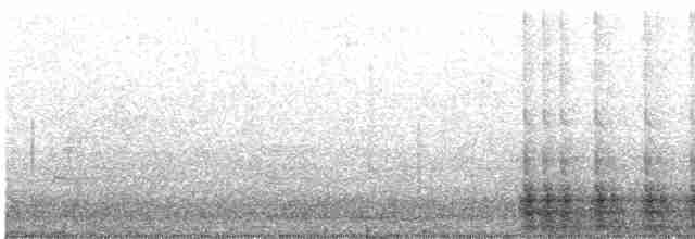 Дятел-смоктун жовточеревий - ML619533510
