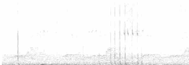 Schwarzkehl-Nachtschwalbe - ML619533730