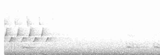 Каролинский крапивник - ML619533740