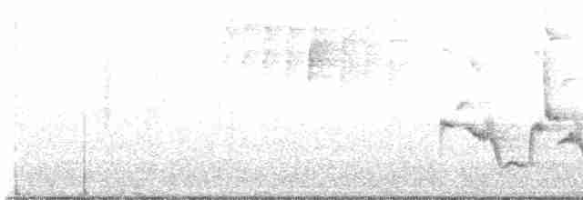 Тремблер прямодзьобий - ML619533775
