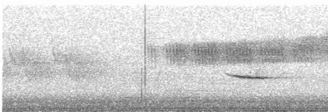 Münzevi Bülbül Ardıcı - ML619534001