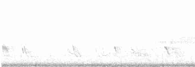 Büyük Mor Kırlangıç - ML619534236