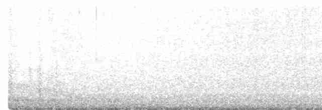 קוניור שחור-ראש - ML619534319