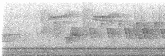 Дроздовый певун - ML619534436