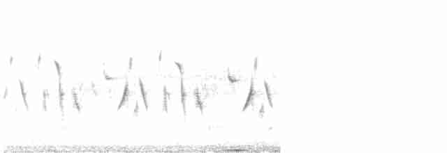 Ґоріон каліфорнійський (підвид belli) - ML619534591