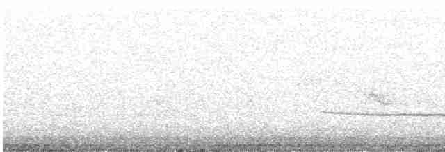 Bruant à gorge blanche - ML619534752