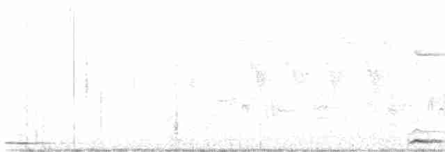 Зозуля звичайна - ML619534759