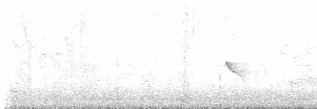 gulbrynkjernebiter - ML619535071
