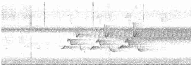Каролинский крапивник - ML619535215