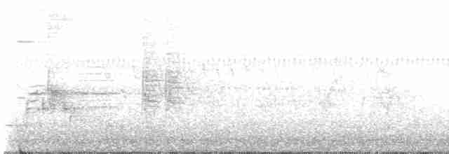 Söğüt Sinekkapan - ML619535216