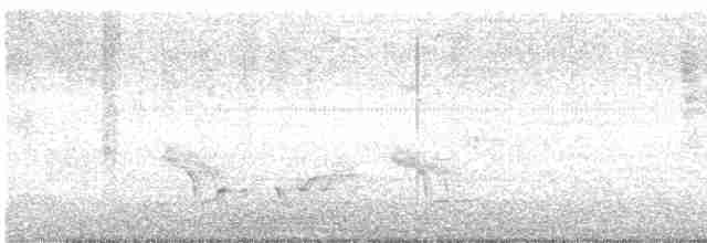 Тремблер прямодзьобий - ML619535246