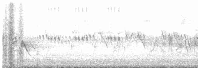 Vireo de Bell - ML619535293