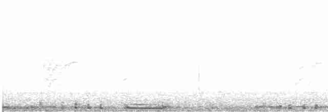 Kaya Güvercini (şehir güvercini) - ML619535353