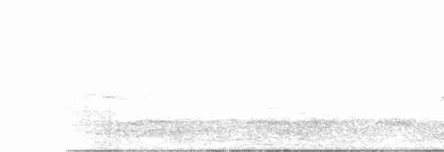 斑胸秧雞 - ML619535627