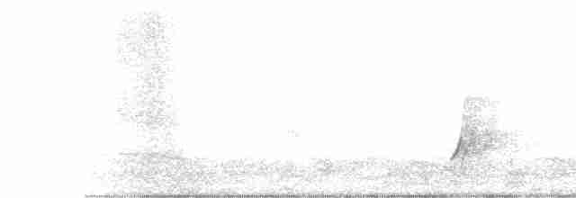 Uroilanda pikarta - ML619535628