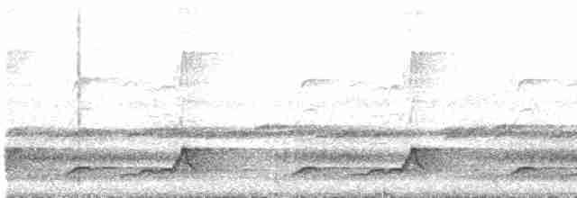 Schwarzkehl-Nachtschwalbe - ML619535777