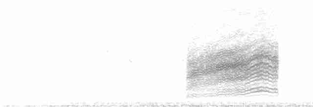 Spotted Towhee (oregonus Group) - ML619535885
