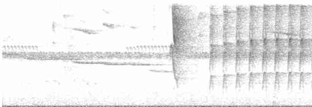 Ockerbrauen-Blattspäher - ML619536523