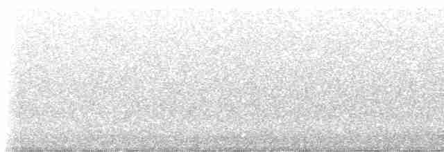 Paruline à gorge noire - ML619536836