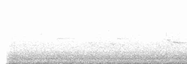 Vireo Ojiblanco - ML619536901