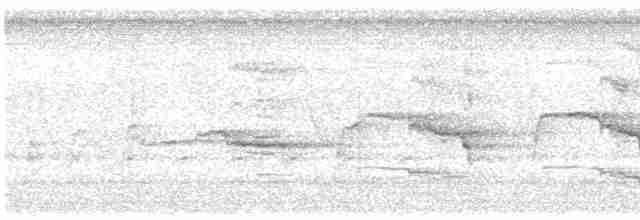 Kara Karınlı Islıkçı Ördek - ML619537203