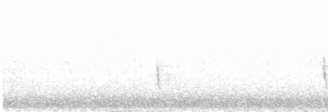 Красная пиранга [группа hepatica] - ML619537439