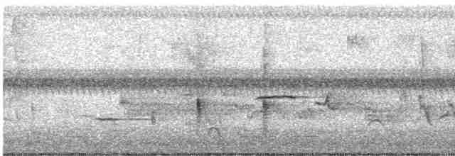 Oriole des vergers - ML619537465