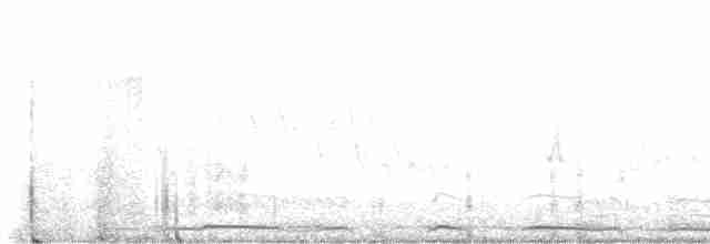 Tourterelle à ailes blanches - ML619537629