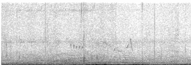 Vireo Ojiblanco - ML619537641