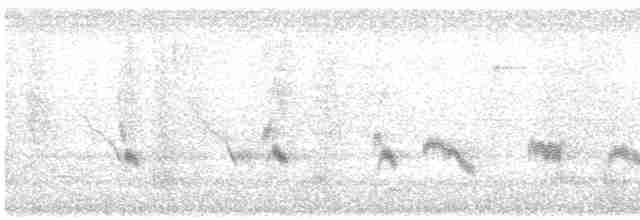 Büyük Mor Kırlangıç - ML619537725