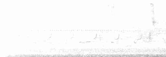 Weidenschnäppertyrann - ML619538232