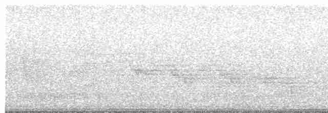 Бурый соловьиный дрозд - ML619538248