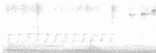 strakapoud osikový - ML619538317