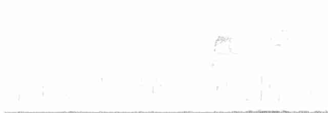 Длиннохвостый крапивник - ML619538496